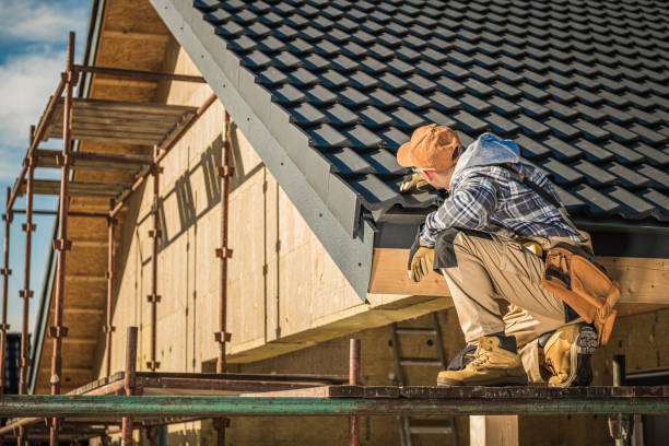 Best Gutter Replacement  in Ingram, PA