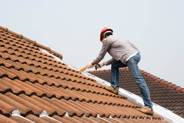 Best Sheet Metal Roofing  in Ingram, PA